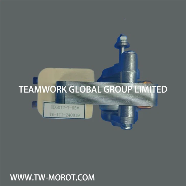 Inverter Oven Motor