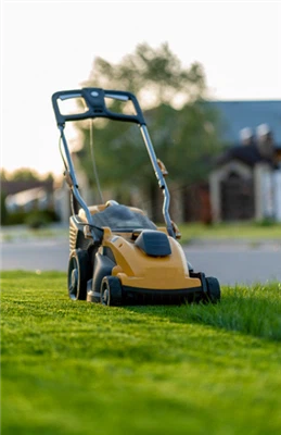 Electric lawnmower, efficient and portable