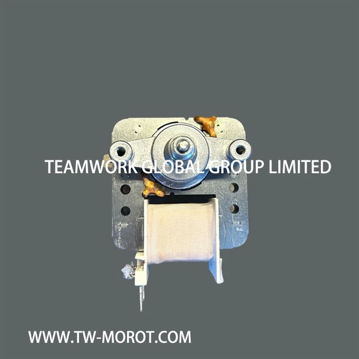 Multifunctional Electric Oven Motor