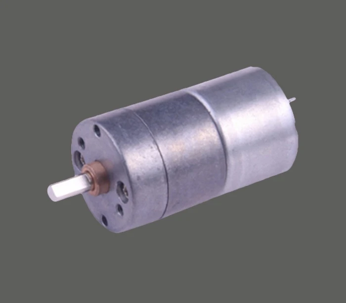 Micro Gear Motor