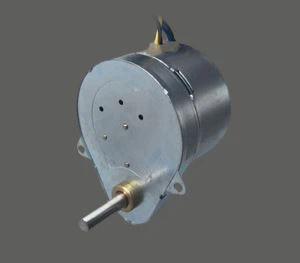 Household Batch Oven Motor