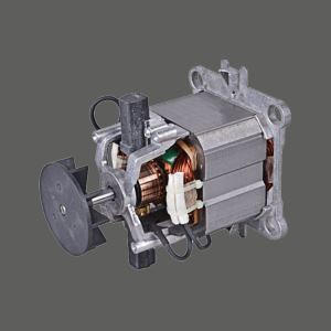 Ice Grinding Motor