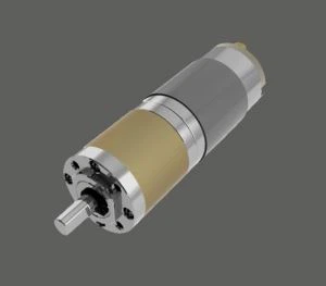 Medical Lift Motor