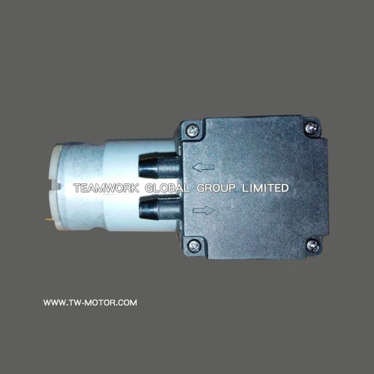 Professional Air Pump Motor