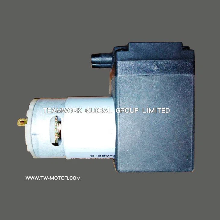 Professional Air Pump Motor