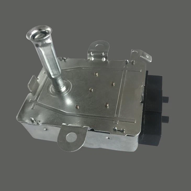 Roaster Motor