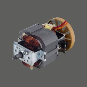 Chopper Motor