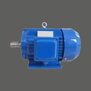 110V AC pump motor