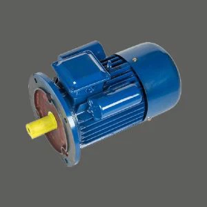 Big Power Meat Chopper Motor