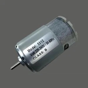 Micro electric DC motor