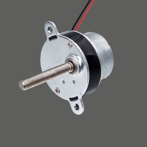 Electronic Lock Motor