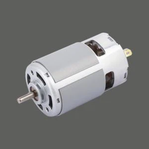 Garden Tool Ac Motor