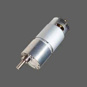 Cleaner Motor