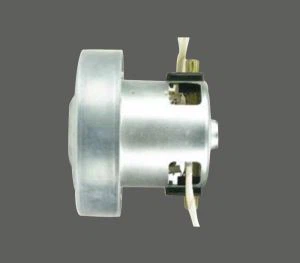 House Sweeper Motor