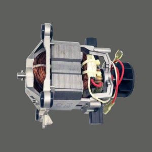 Ice Grinder Motor