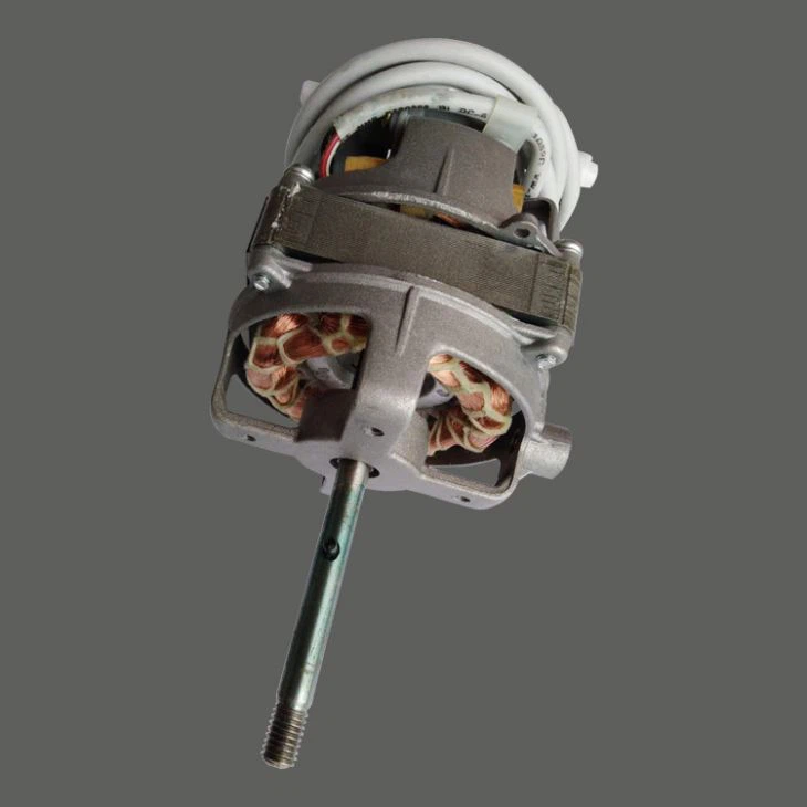 Standing Electric Fan Induction Motor