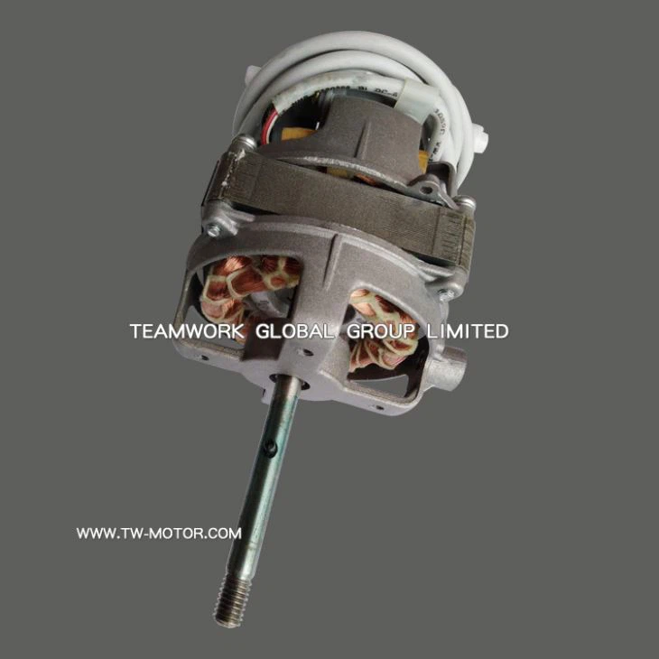 Standing Electric Fan Induction Motor
