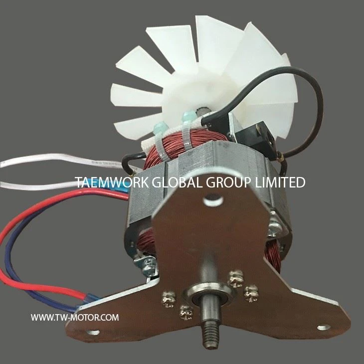 China Juice Blender Motor