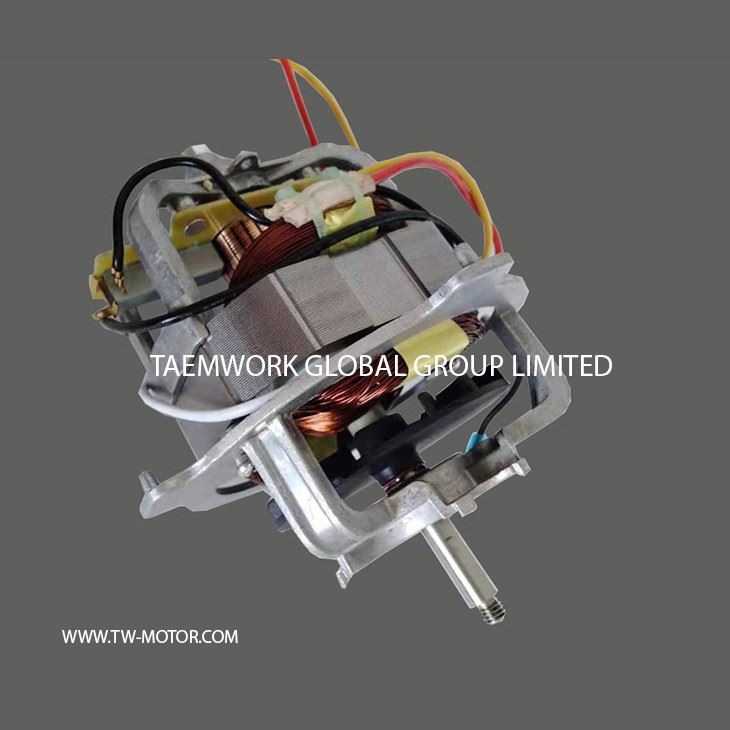 Fast Mixer Motor