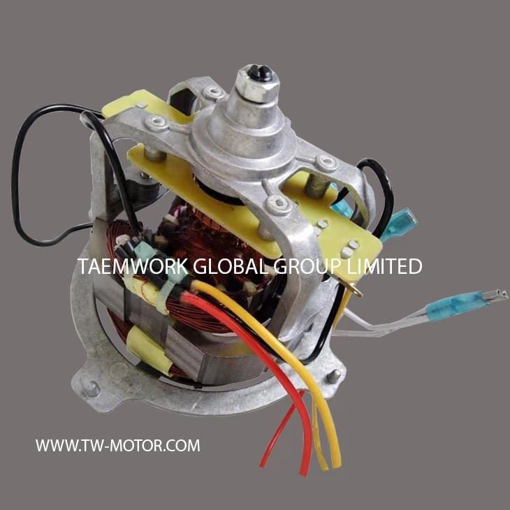 Fast Mixer Motor