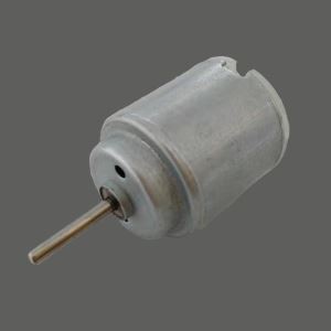 Low Voltage DC Motor