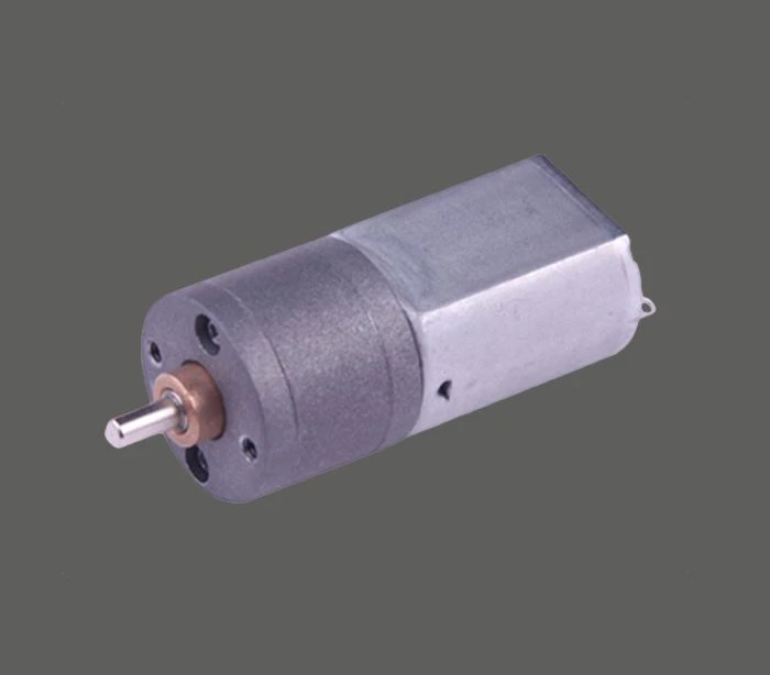 Household Motor