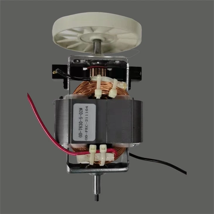 AC Electric Juicer Motor