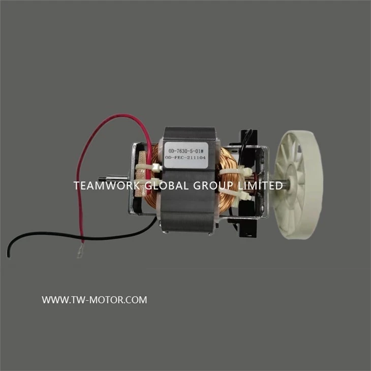 AC Electric Juicer Motor