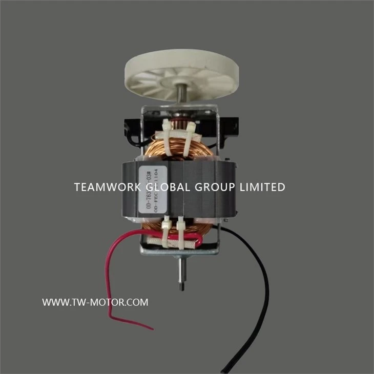 AC Electric Juicer Motor