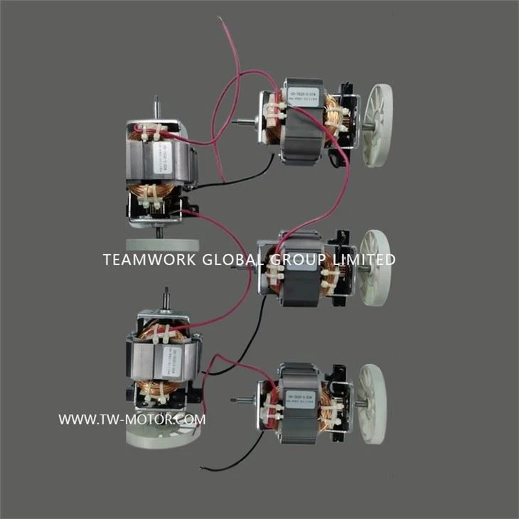 AC Electric Juicer Motor
