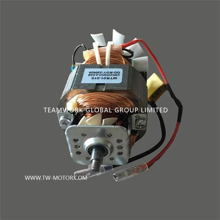 Juicer Motor & Food Processor Motor