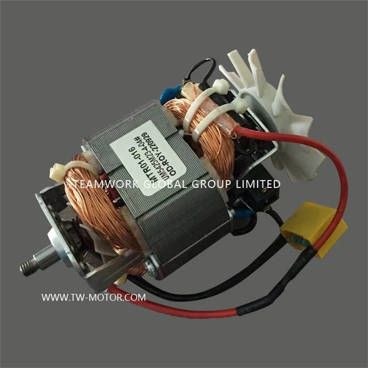 Juicer Motor & Food Processor Motor