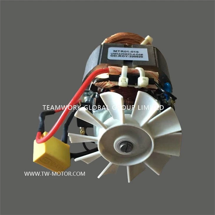 Juicer Motor & Food Processor Motor