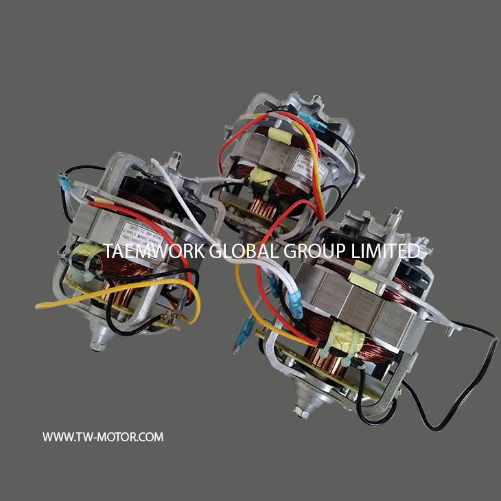 Simple And Fast Food Processing Motor