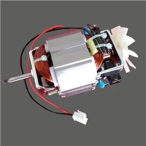 Meat Mincer Motor