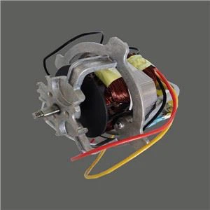 Simple And Fast Food Processing Motor