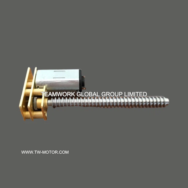 Small Special Door Lock Gear Motor