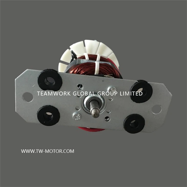 UM Motor For Juicer