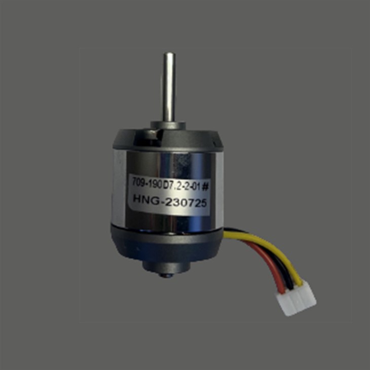 Curling Iron Motor