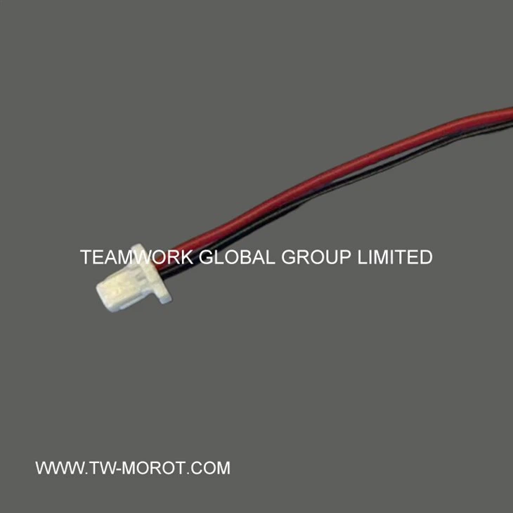 Digital Lock Motor