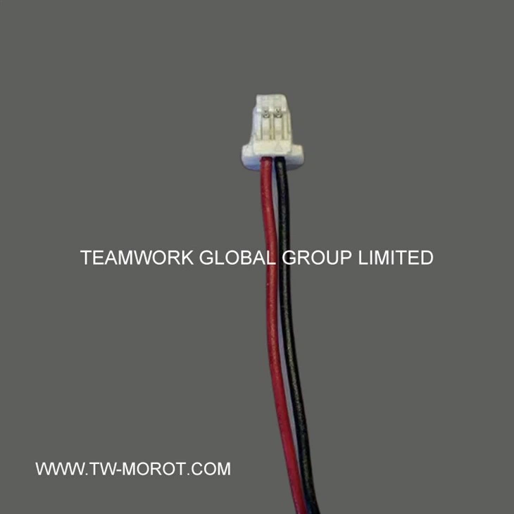 Digital Lock Motor