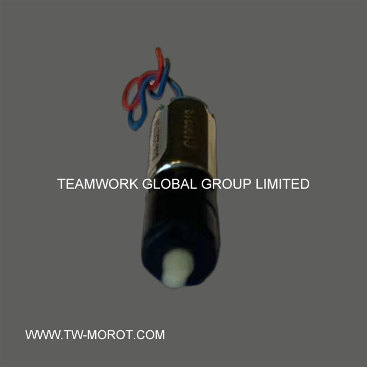 Digital Lock Motor