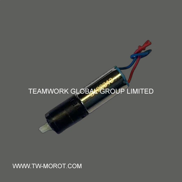 Digital Lock Motor