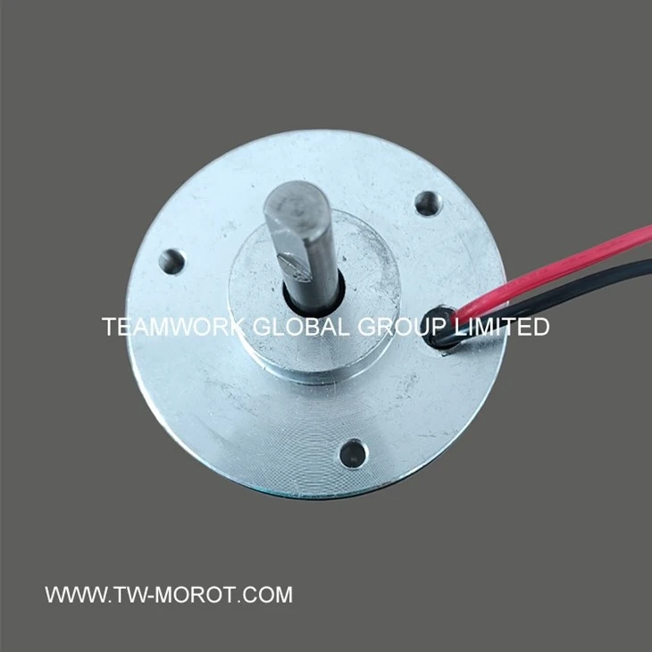 Electric Bottle Opener Motor