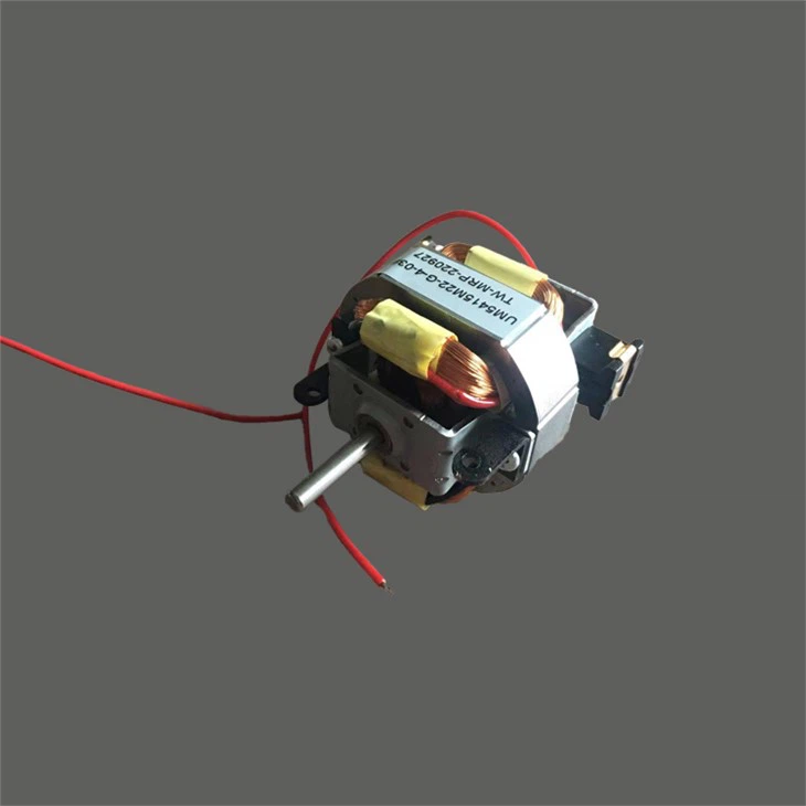 High Speed Hair Dryer Motor