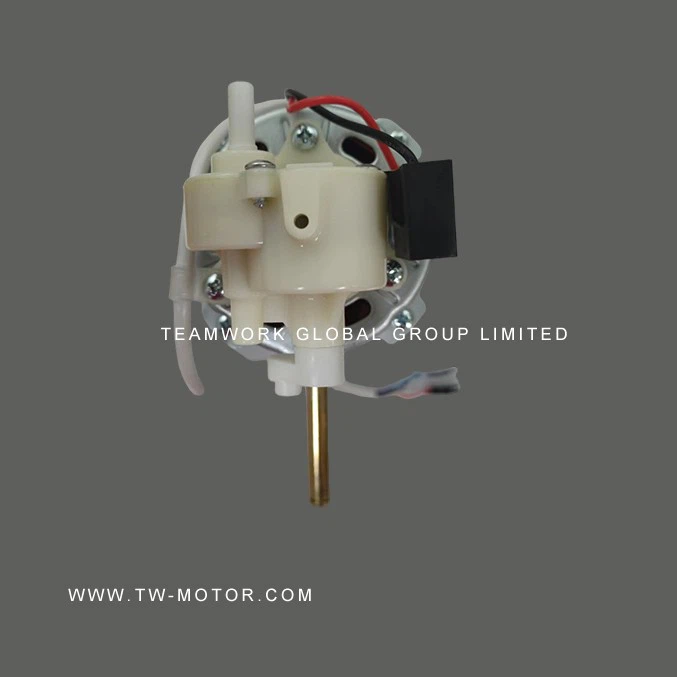 Household Fan Motor