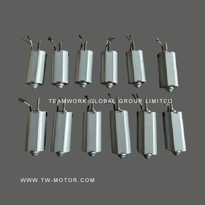 Massager Motor