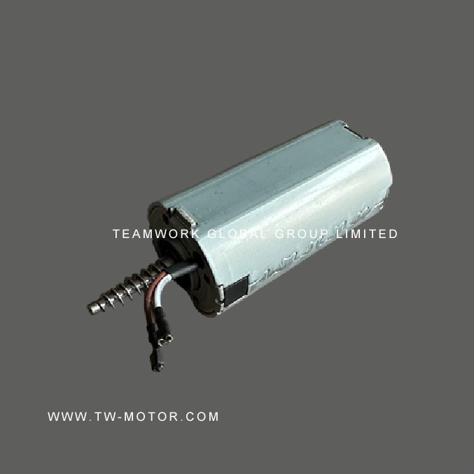 Massager Motor