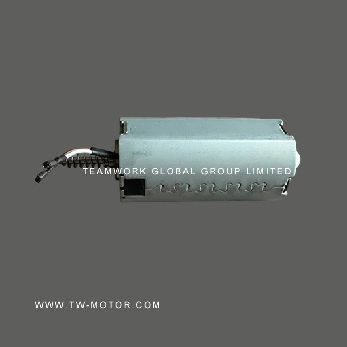 Micro Electric Tool Motor
