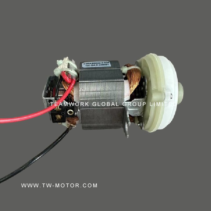 Professional Kitchen Grinder Motor